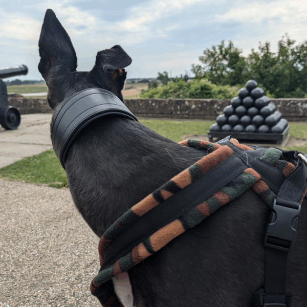 Dog Harness CosyDogs soft, safe and perfect for greyhounds