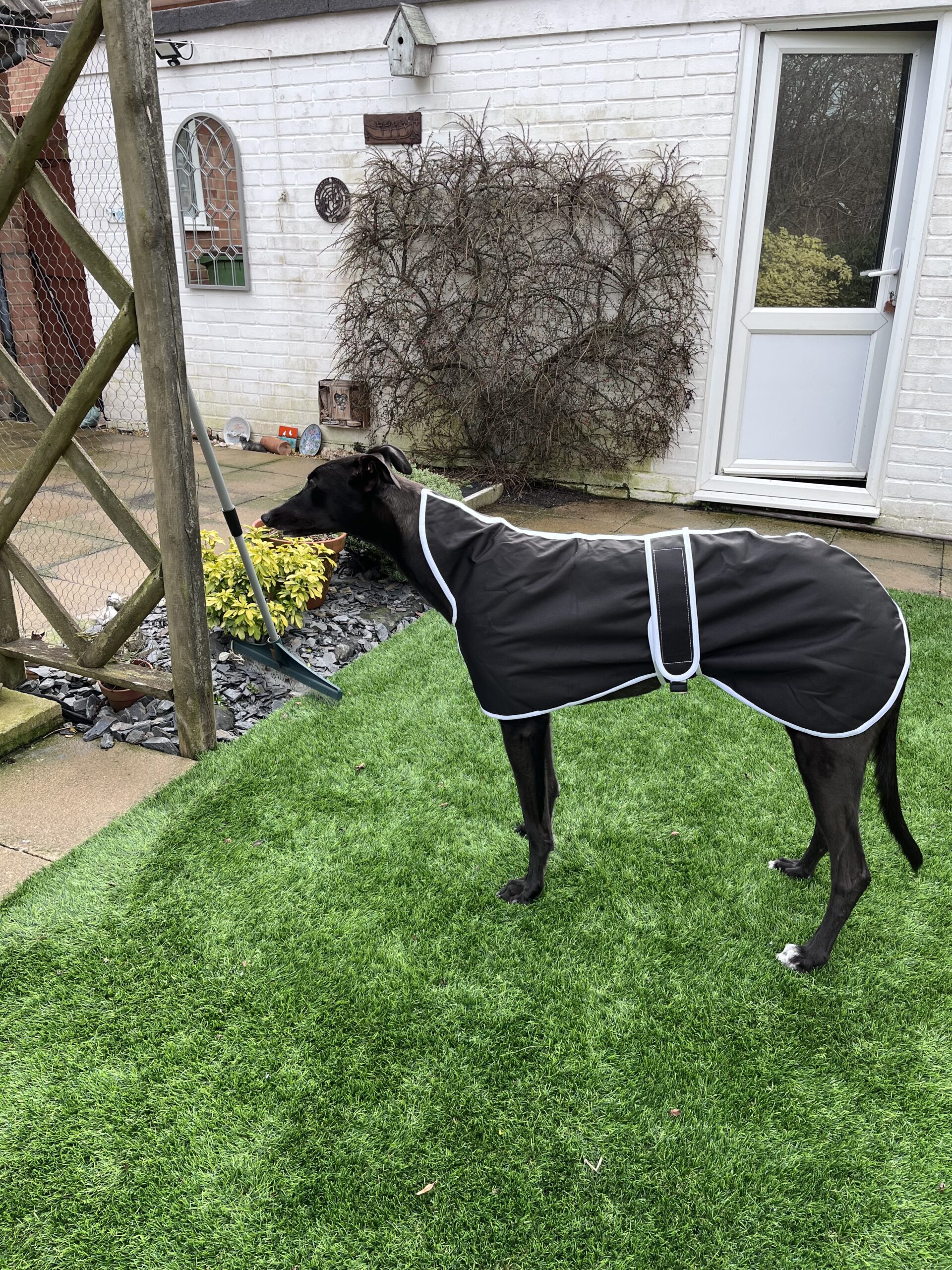 Waterproof Sighthound Raincoats - Image 6