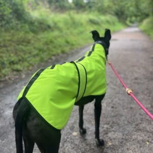 Waterproof Sighthound Raincoats