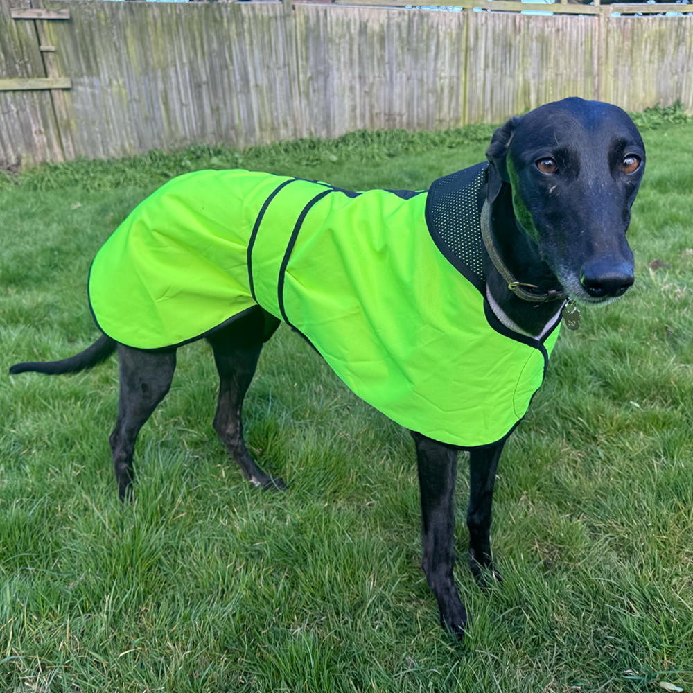 Waterproof Sighthound Raincoats - Image 2