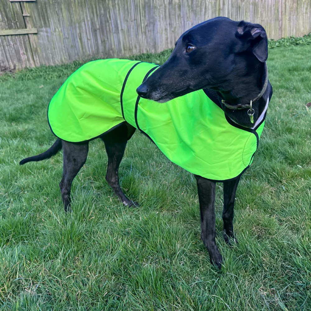 Waterproof Sighthound Raincoats - Image 21