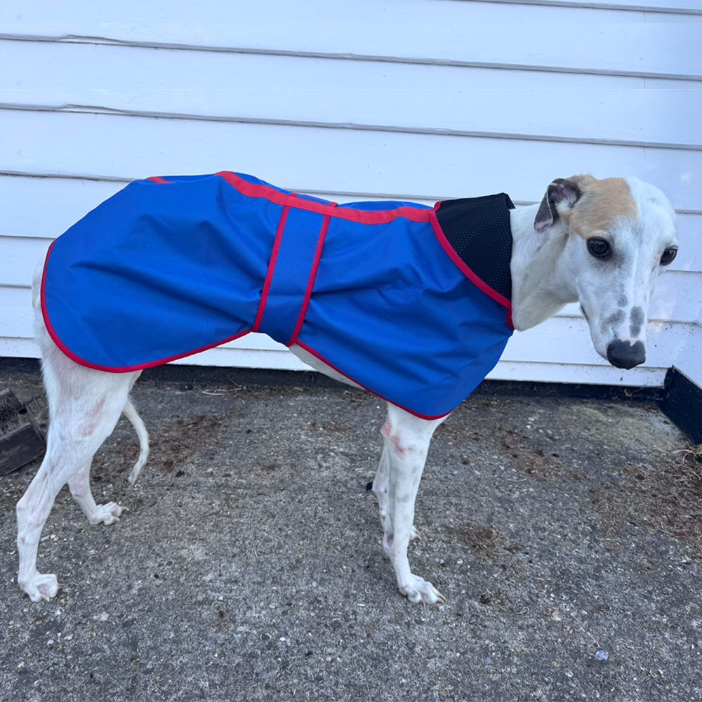Waterproof Sighthound Raincoats - Image 22