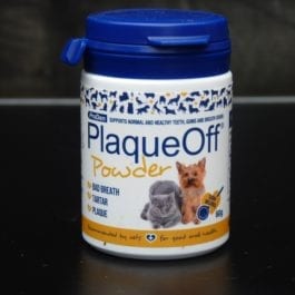 Dental Care For Dogs