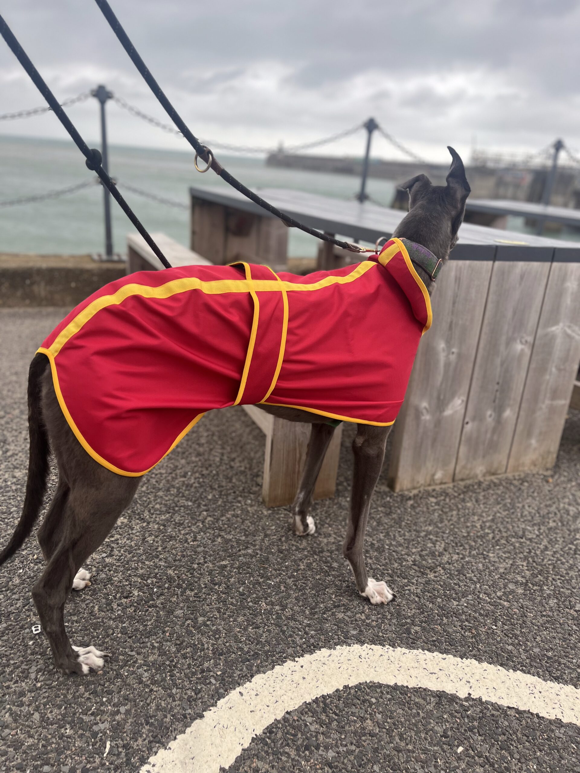 Waterproof Sighthound Raincoats - Image 4
