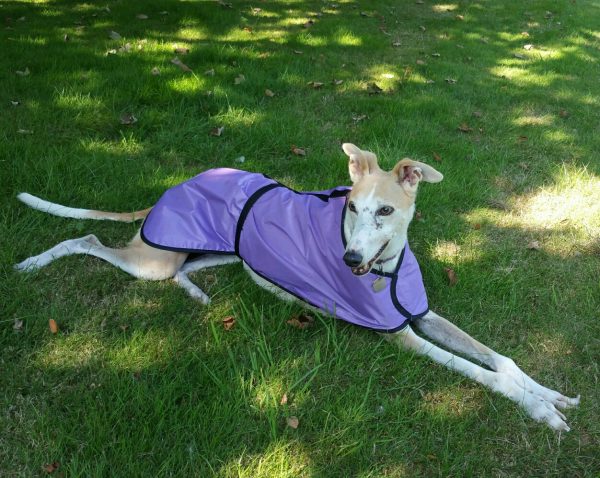 Waterproof rain macs for greyhounds lurchers whippets and other dogs