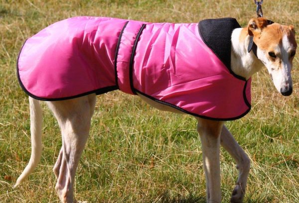 Winter Coats for Greyhounds Lurchers