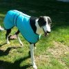 Winter Coats for Greyhounds Lurchers