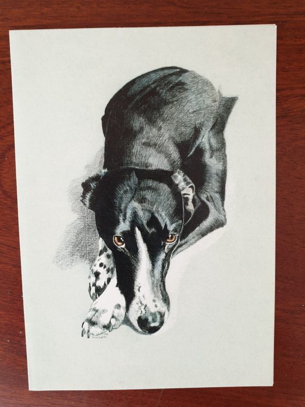 Greyhound Cards & Notelets