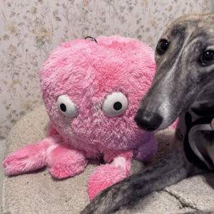 Octopus Family Dog Toys