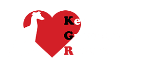 Kent Greyhound Rescue Logo in White