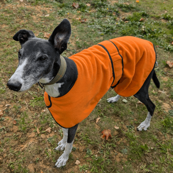 Fleece Dog Coat Or PJs for greyhounds lurchers whippets