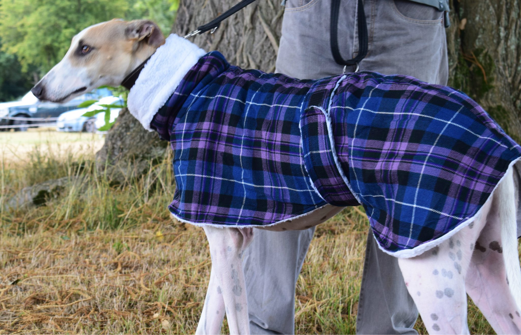 Tartan polo neck fleece coat for greyhounds or lurchers