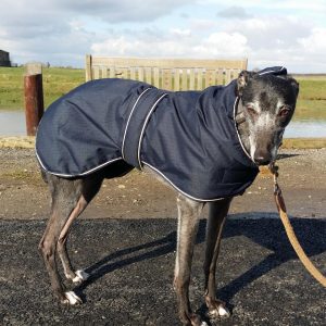 outhwaites blue greyhound coat