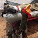 Kong toys shakers honkers doggie fun & games