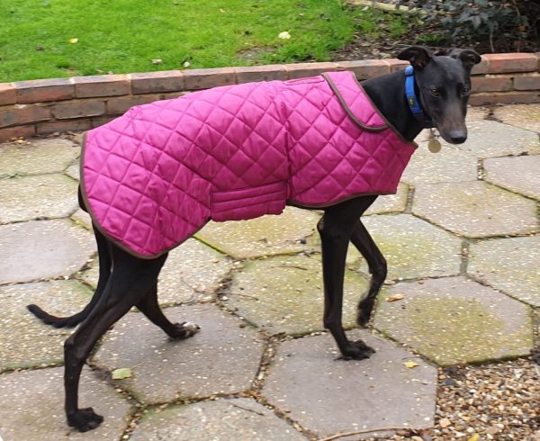 Winter Dog Coats raspberry