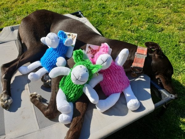 Plush Sheep Dog Toys