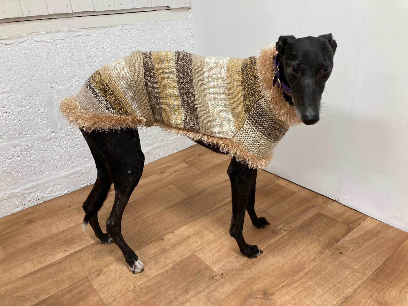 Knitted Jumpers for Greyhounds | Kent Greyhound Rescue