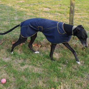 Greyhound Softshell Coat Digby & Fox