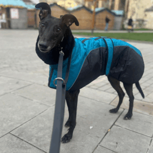 Winter Coat With Black Faux Fur Snood & KGR Logo
