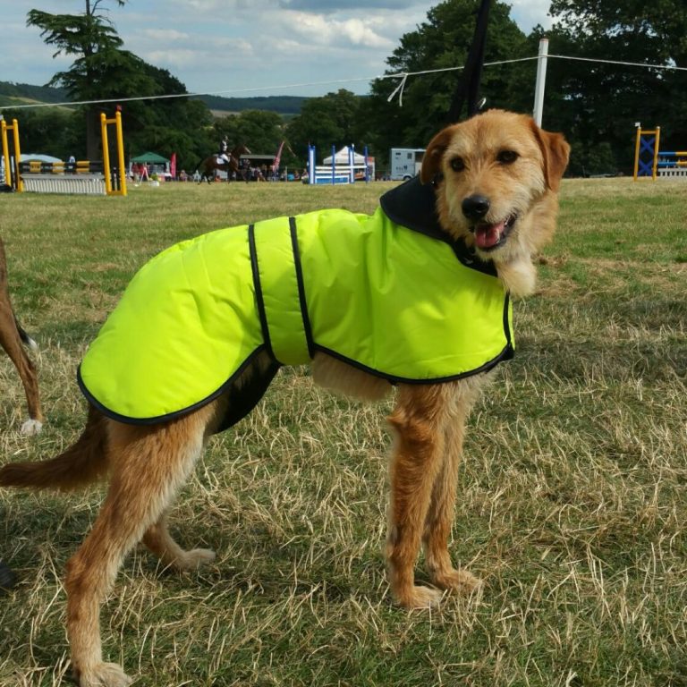 Dog Harness CosyDogs soft, safe and perfect for greyhounds & lurchers
