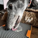 2D7B11DE-E3FD-4B34-9AF7-1D543FFEBC5E