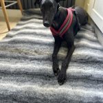 B10CBD34-EB81-4AA1-865A-F03A0FF3A1E0