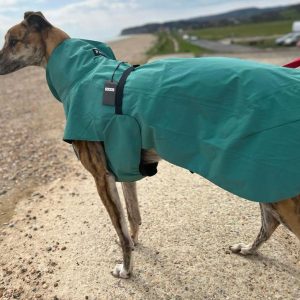 Paikka Greyhound raincoat