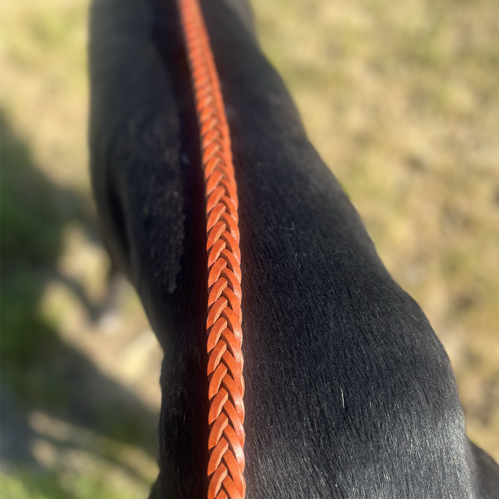 Combination Fishtail Collar and Lead - Image 3