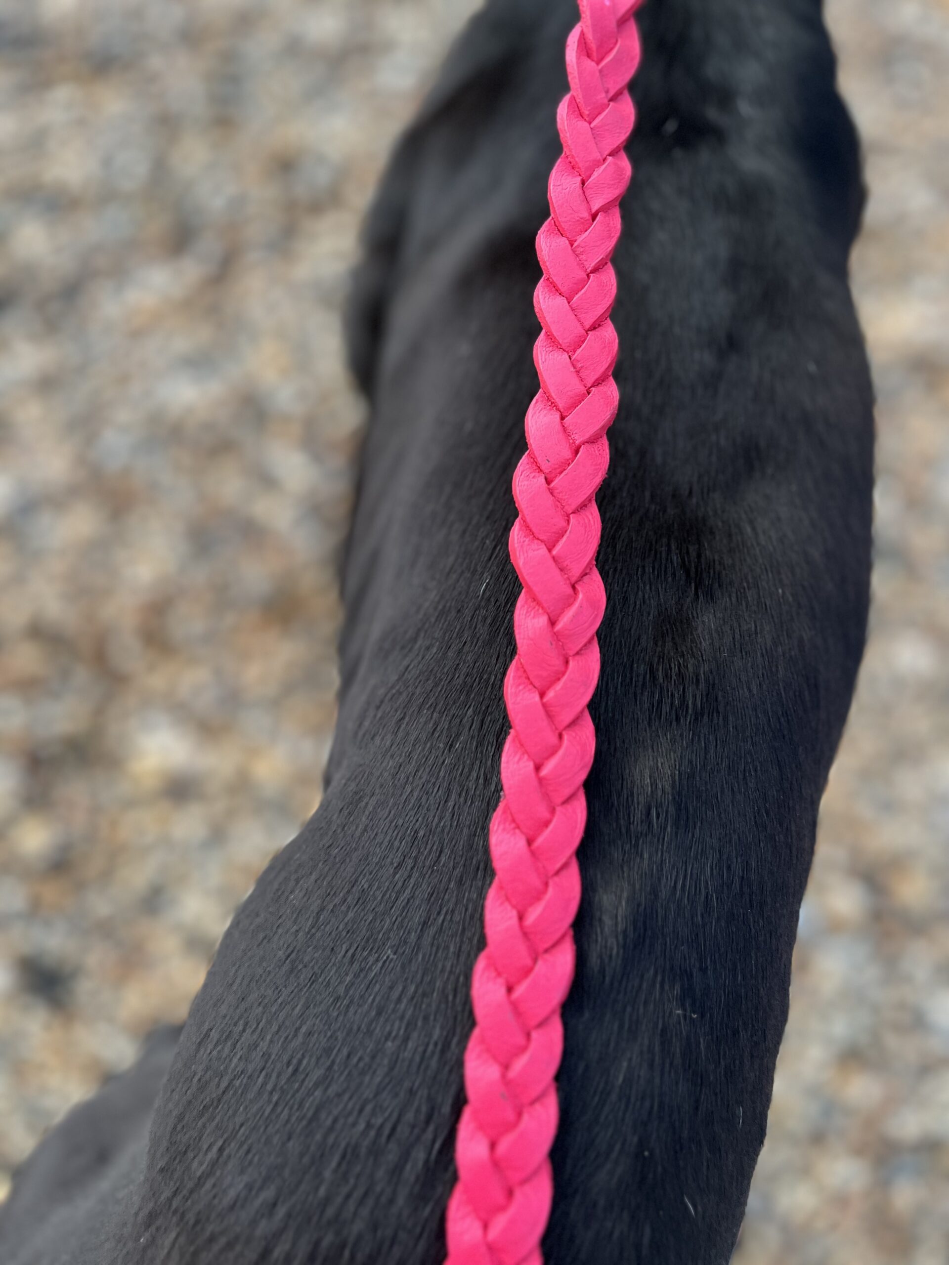 Combination Fishtail Collar and Lead - Image 9