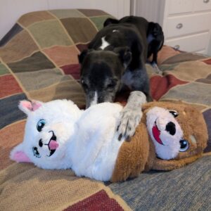 Gor Flips Reversible Plush Soft Dog Toys