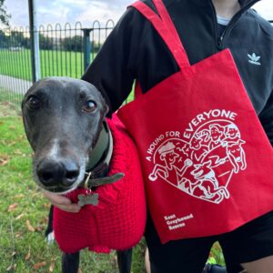 KGR 15th Anniversary Canvas Tote Bag