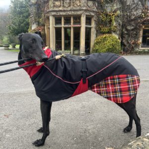 Felton Sighthound Coat By DryDogs