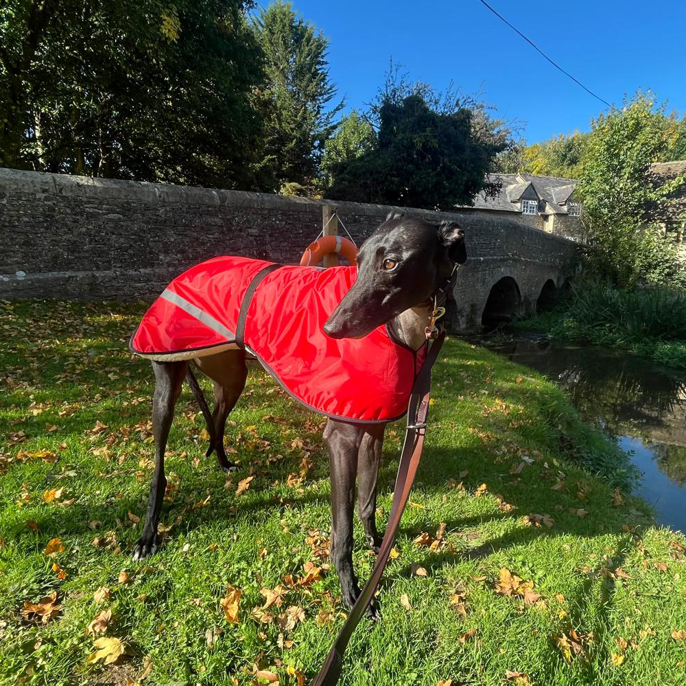Sherpa Fleece Lined Sighthound Coat By DryDogs Kent Greyhound Rescue