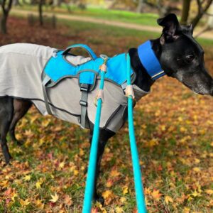 Fleece Sighthound Base By DryDogs