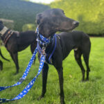 unnamed – 2024-10-20T145017.647