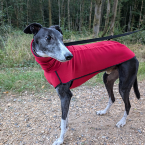 Runo Thick Fleece Base By DryDogs