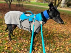 DryDogs Winter Fleece 