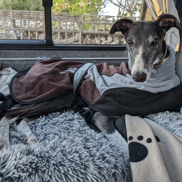 Sighthound Double Fleece Coat with Snood by DryDogs Kent
