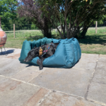 Digby & Fox Nest Bed_Green1