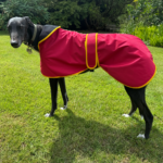 Waterproof Sighthound Raincoat – Red_Yellow