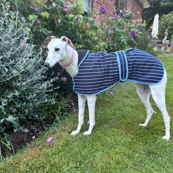 Winter Coats for greyhounds lurchers and whippets