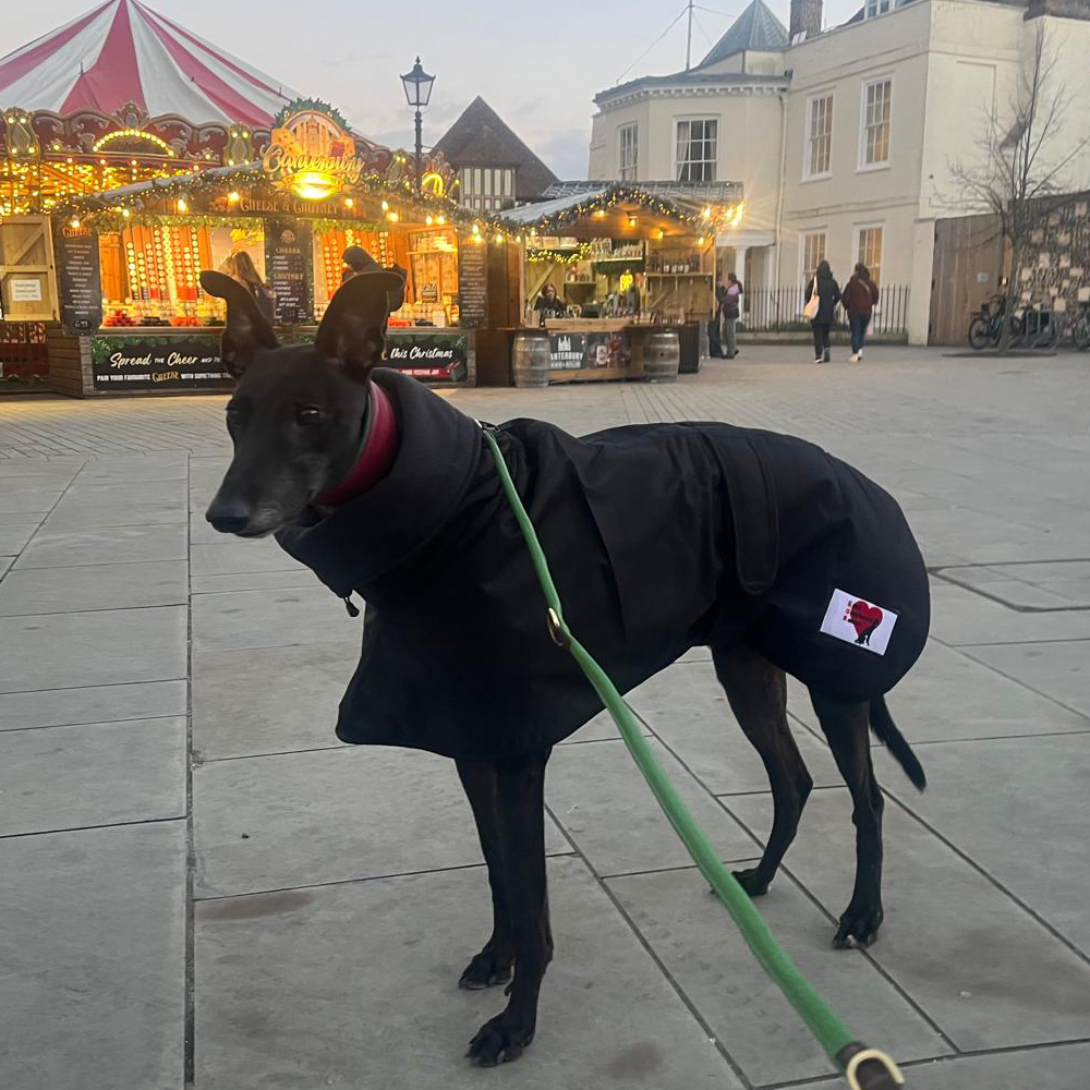 Showerproof Black Winter Coat With Snood & Slit For Lead