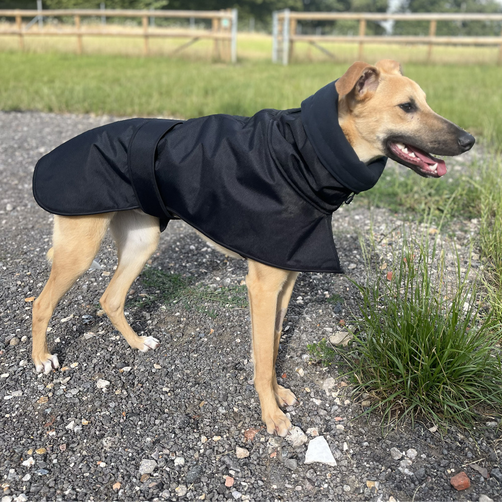Showerproof Black Winter Coat With Snood & Slit For Lead - Image 5