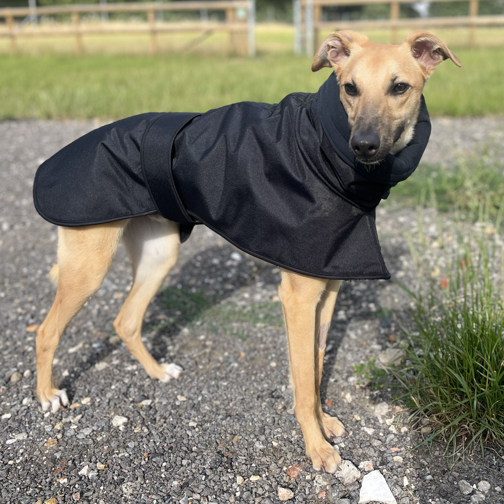 Showerproof Black Winter Coat With Snood & Slit For Lead - Image 2