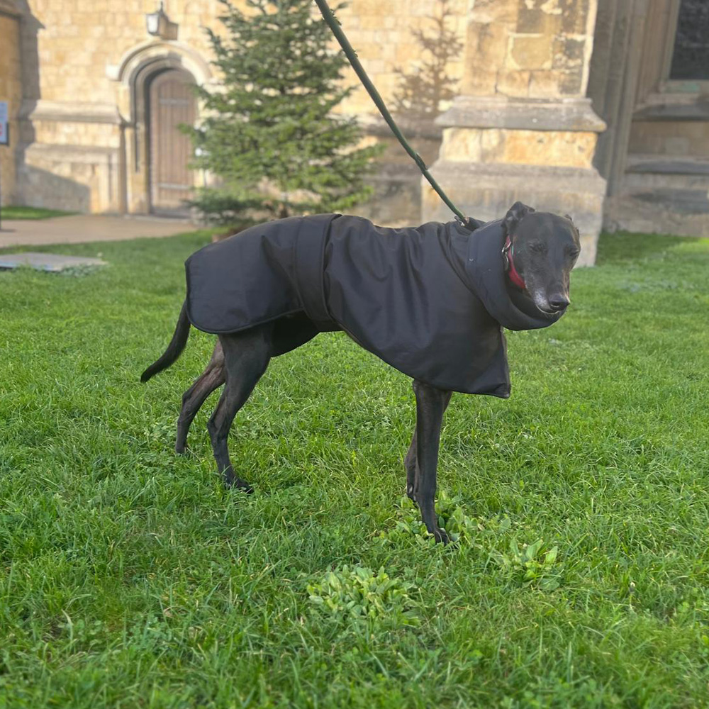 Showerproof Black Winter Coat With Snood & Slit For Lead - Image 4
