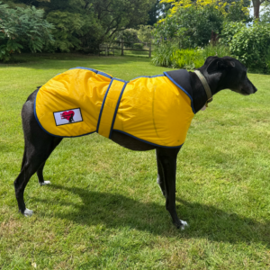 Winter Coats - Reduced, Seconds, Slightly Soiled, Samples