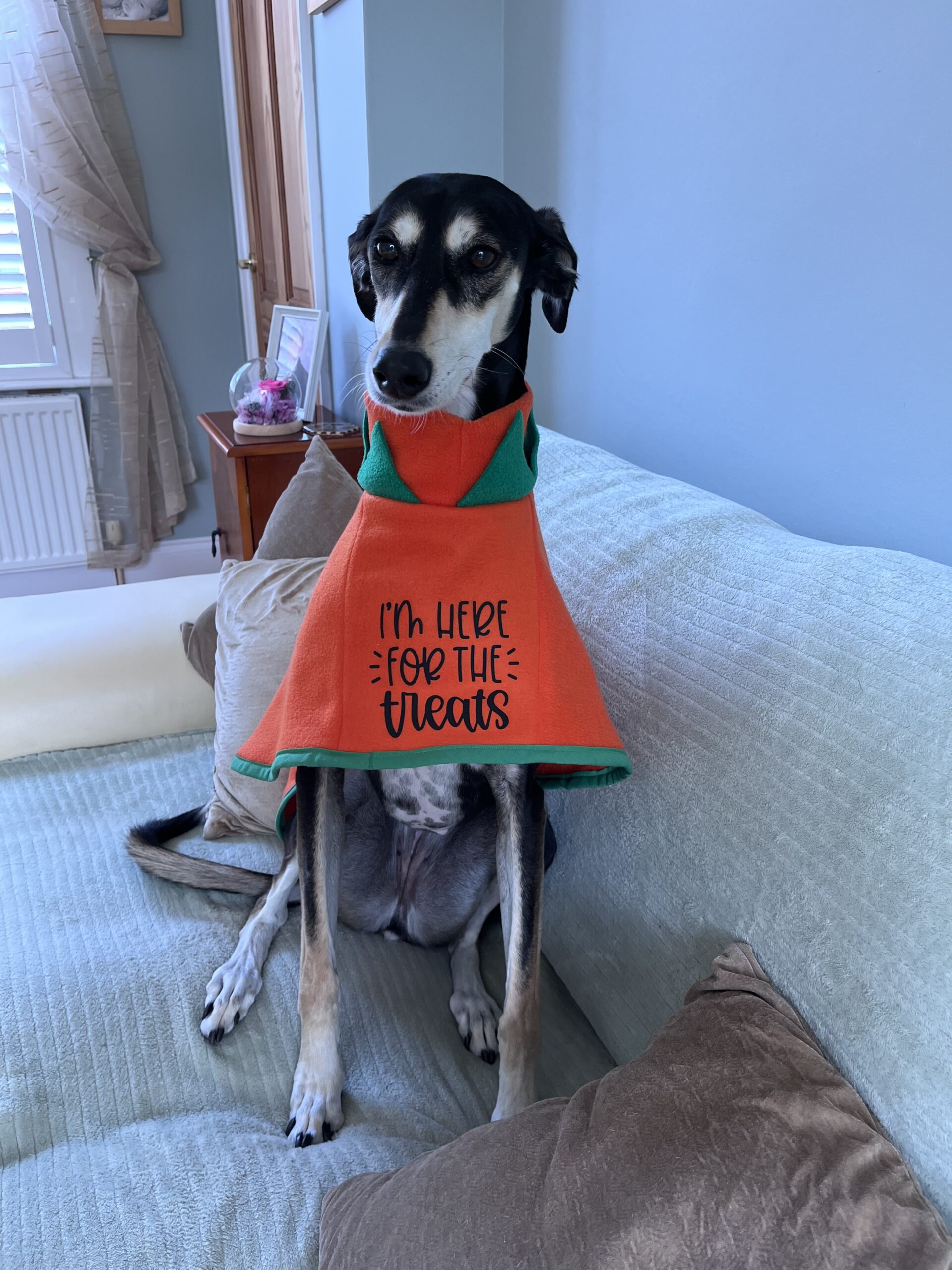 Handmade in Kent Special Edition Coats Kent Greyhound Rescue