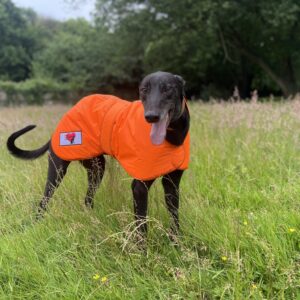 Greyhound Winter Coats With KGR Logo