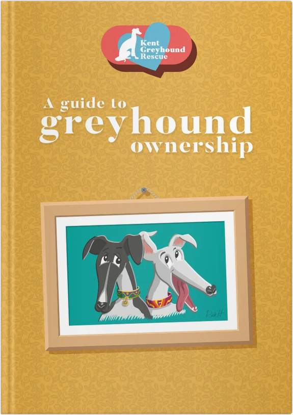 A Guide to Greyhound Ownership