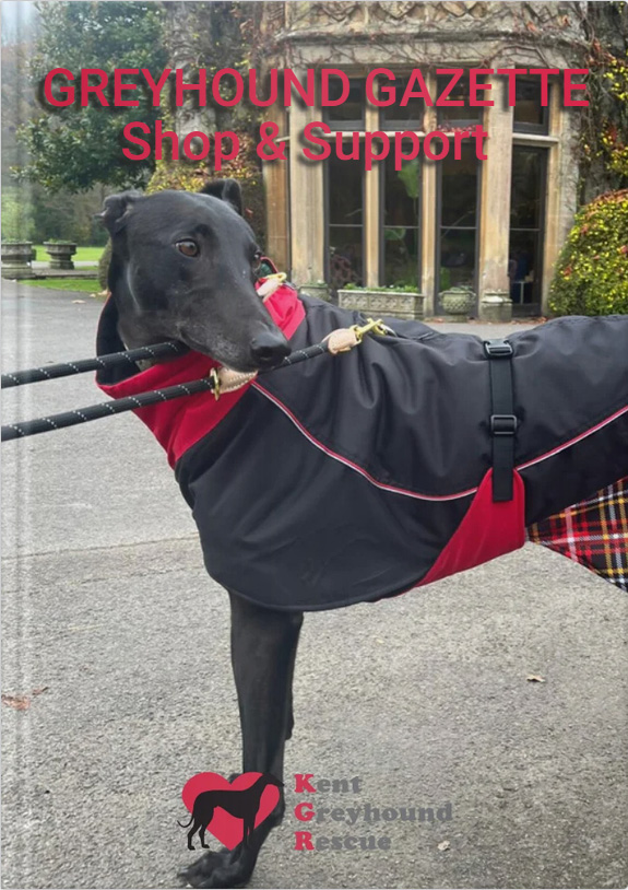 Kent Greyhound Rescue Shop Brouchure